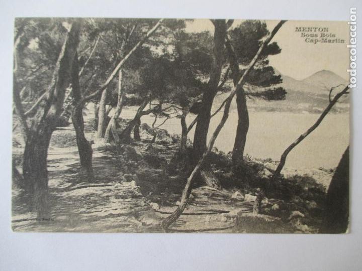 Postais: TARJETA POSTAL DE FRANCIA. MENTON SOUS BOIS CAP MARTIN