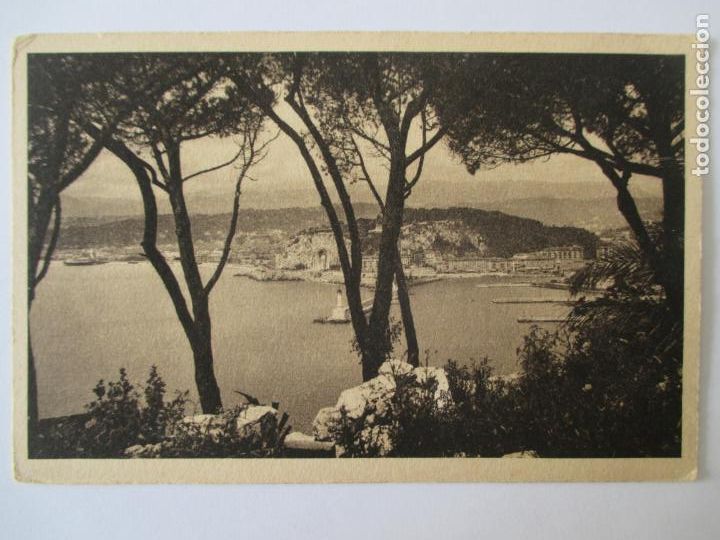 Postais: TARJETA POSTAL DE FRANCIA. COTE D&acute;AZUR ARTISTIQUE. 104 NICE VUE ENTRE LES PINS