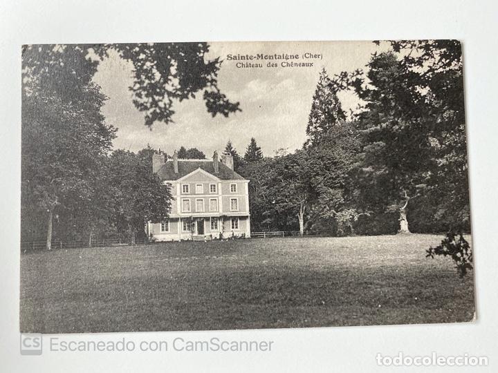 Cartes Postales: TARJETA POSTAL. FRANCIA. CENTRO-VALLE DE LOIRA. CHER. SAINTE-MONTAIGNE. CH&Acirc;TEAU DES CH&Ecirc;NEAUX.