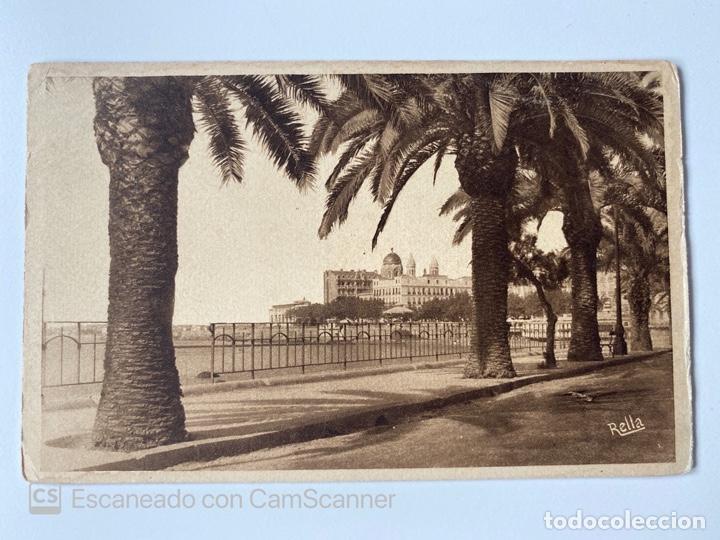 Postales: TARJETA POSTAL. FRANCIA. VAR. SAINT-RAPHAEL. 651.- LES PALMIERS DU BOULEVARD FELIX-MARTIN