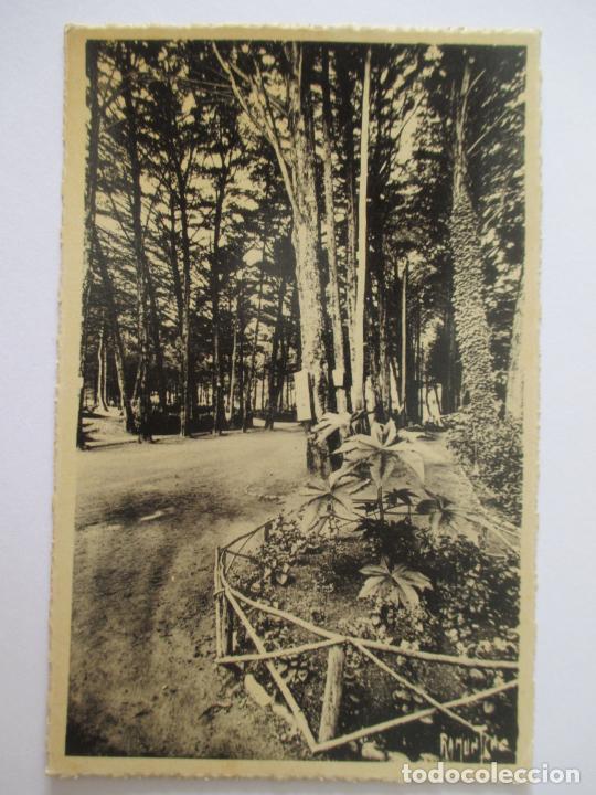 Postcards: TARJETA POSTAL DE FRANCIA. CHATELAILLON PLAGE PARC DU CASINO