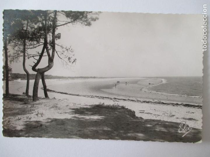 Postales: TARJETA POSTAL DE FRANCIA. 4926 ILE D&acute;OLERON BOYARDVILLE S MAGNIFIQUE PLAGE