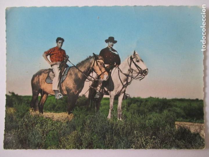 Postais: TARJETA POSTAL DE FRANCIA. 69-34 GARDIANS DE CAMARGUE