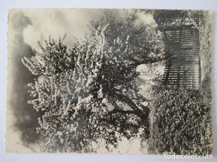 Postkarten: TARJETA POSTAL DE FRANCIA. EN NORMANDIE. I B 3748