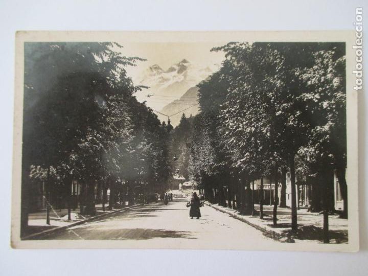 Postais: TARJETA POSTAL DE FRANCIA. 24 LUCHON ALLEES D&acute;ETIGNY