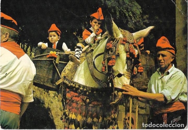 Cartoline: :::: C36 - POSTAL - ROUSSILLON - TERRE DE FOLKLORE - LA BENEDICTION DES MULETS