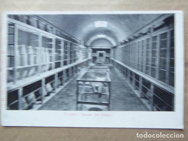 Postales: POSTAL - CARTOLINA - POSTCARD. POMPEYA - POMPEI. INTERNO DEL MUSEO. DORSO SIN DIVIDIR.