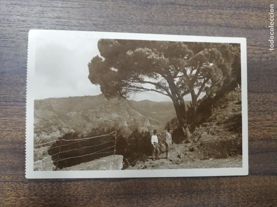 Postais: TARJETA POSTAL FOTOGRAFICA. PORTUGAL. MADEIRA. PAISAGEM PERTO DA CHOUPANA.