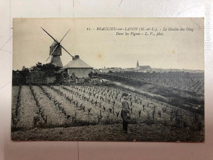 Cartes Postales: TARJETA POSTAL DE BEAULIEU-SUR-LAYON, LE MOULIN DES CINQ DANS LES VIGNES. FRANCIA