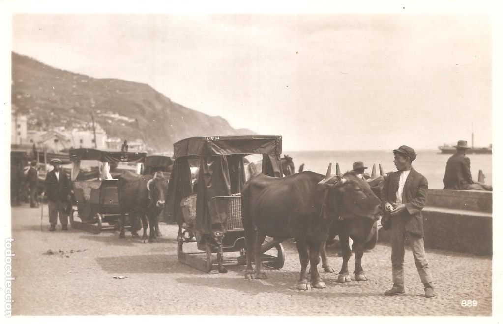 Postales: PORTUGAL MADIRA FUNCHAL