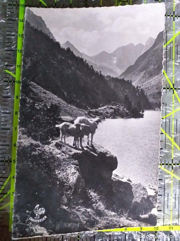 Postkarten: POSTAL FRANCIA 1956 CIRCULADA Y SELLADA / 1721. EVEREST