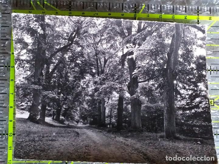 Postales: POSTAL FRANCIA 1957 CIRCULADA Y SELLADA / CENTRE SAINT DOMINIQUE LA TOUROTTE