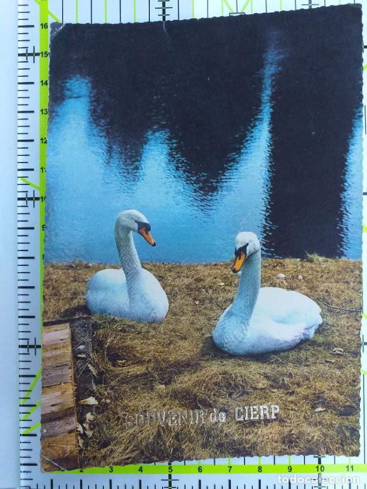 Postkarten: POSTAL FRANCIA 1968 CIRCULADA Y SELLADA / SOUVENIR DE CIERP / DOBLE MATASELLOS