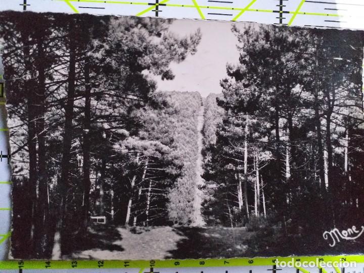 Postales: POSTAL FRANCIA 1960 CIRCULADA Y SELLADA / 11. LES BEAUX SITES LANDAIS