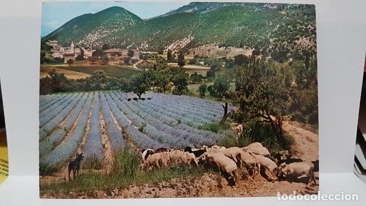 Postales: ANTIGUA POSTAL DE FRANCIA LA PROVENCE - Foto 1
