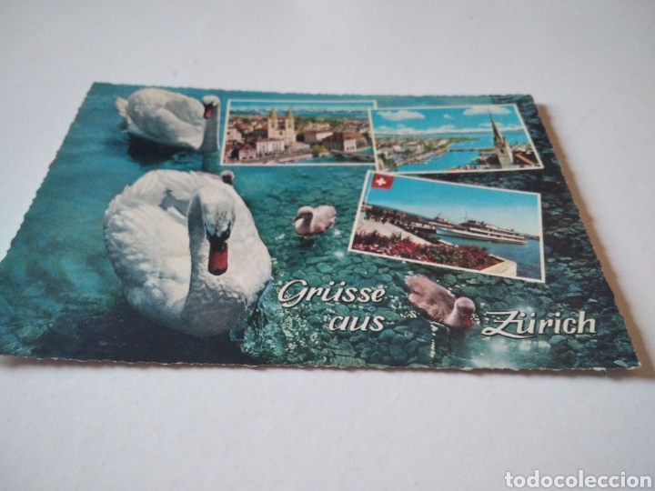 Postales: Postal Z&uuml;rich Cisnes - Foto 1