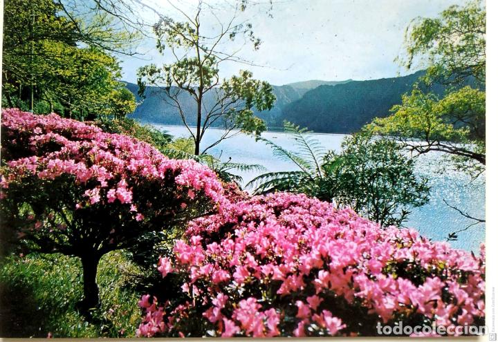 Postales: San Miguel (A&ccedil;ores). 126 Laguna de los Furnas. Nueva. Color