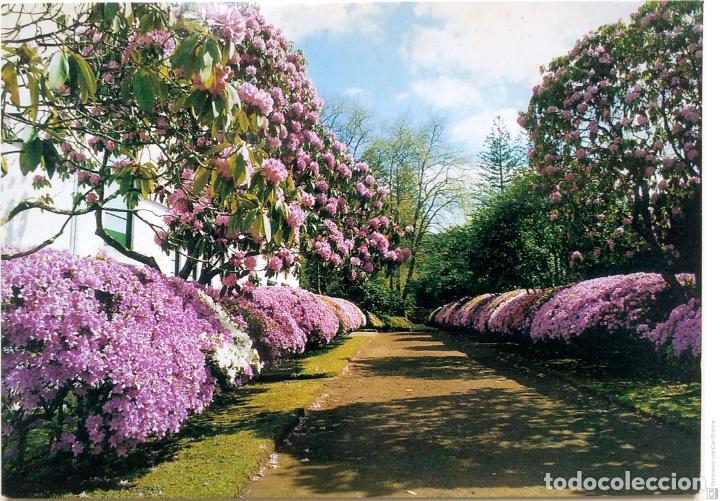 Postales: San Miguel (A&ccedil;ores). 148 Furnas. Parque terra Nostra. Nueva. Color