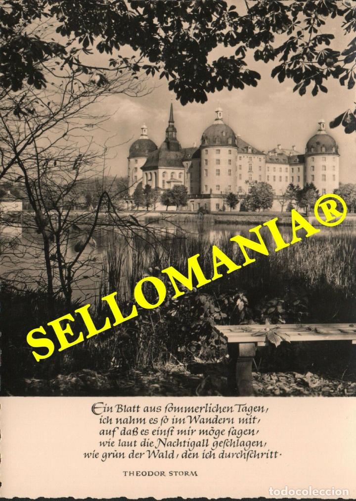 Postkarten: POSTKARTE DEUTSCHLAND MORITZBURG MEI&szlig;EN SACHSEN THEODOR STORM GERMANY ALEMANIA CC05602 DE