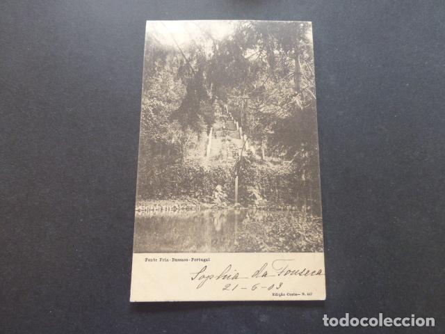 Postales: BUSSACO PORTUGAL POSTAL - Foto 1