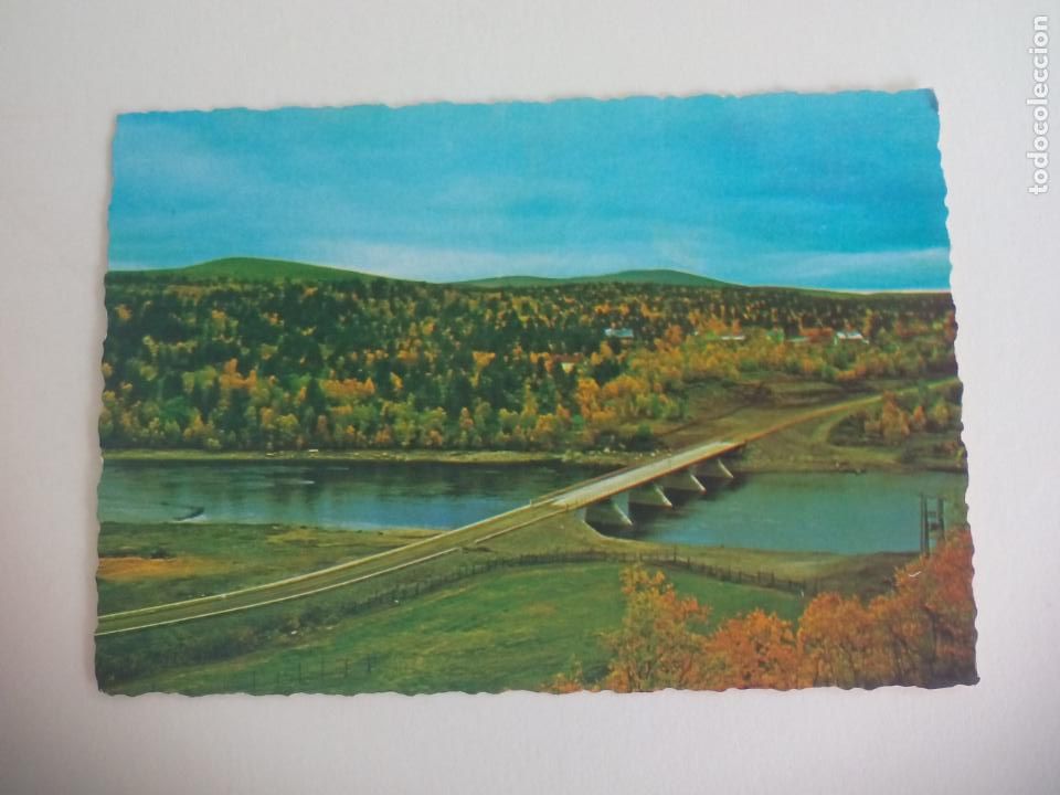 Cartoline: POSTAL. LAPPI LAPPLAND KARIGASNIEMI. FINLANDIA. S/C. POST CARD