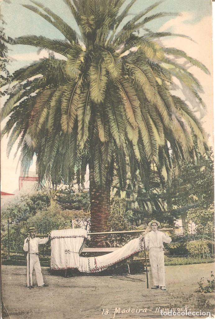 Postales: PORTUGAL MADEIRA HAMMOCK