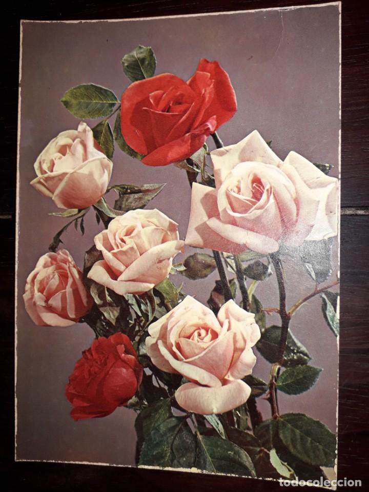 Postales: N&ordm; 3289 POSTAL FLORES ROSAS EDITADA EN ITALIA