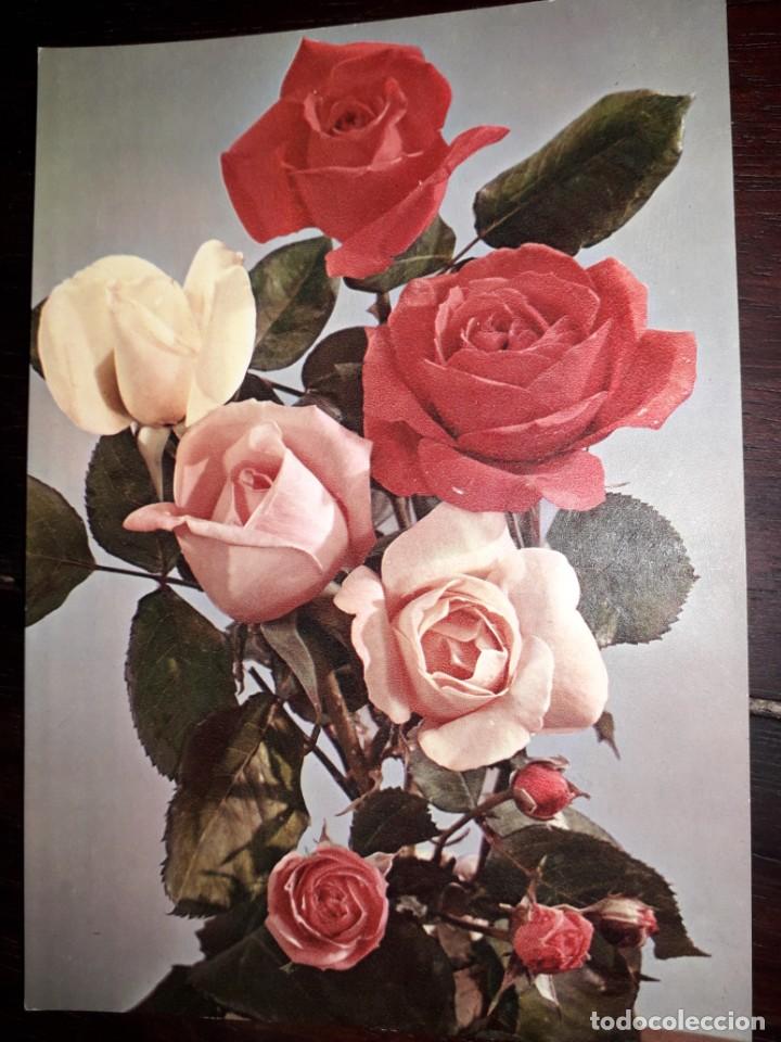 Postais: N&ordm; 3293 POSTAL FLORES ROSAS EDITADA EN ITALIA