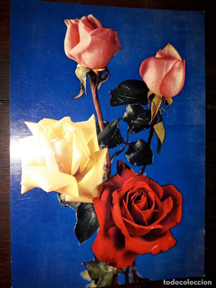 Postkarten: N&ordm; 3299 POSTAL FLORES ROSAS EDITADA EN ITALIA MILANO