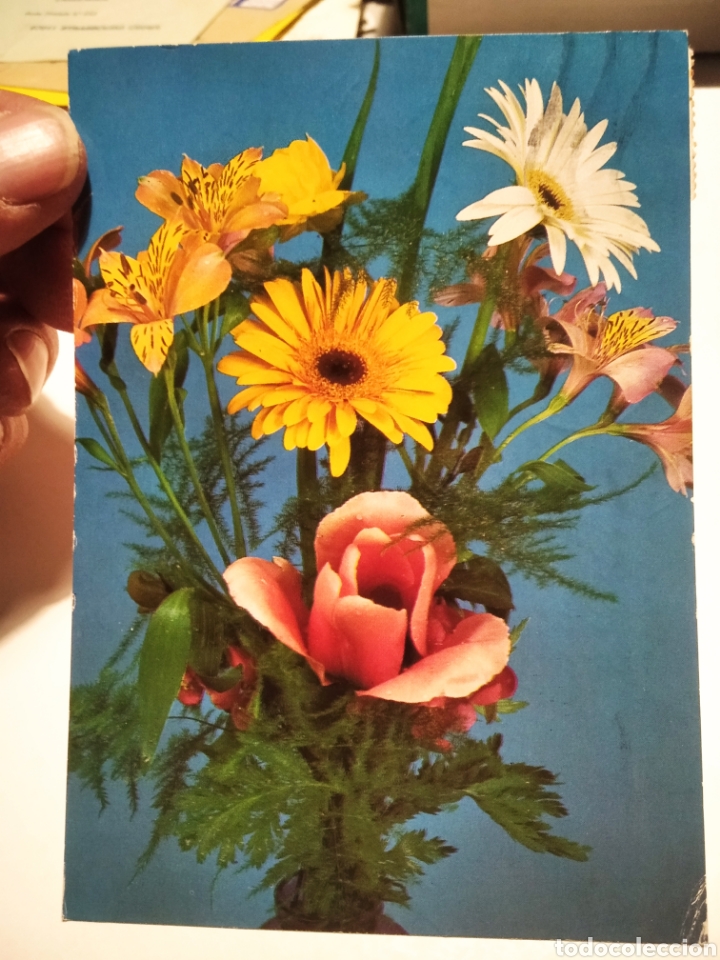 Postcards: Postal Polonia Flores