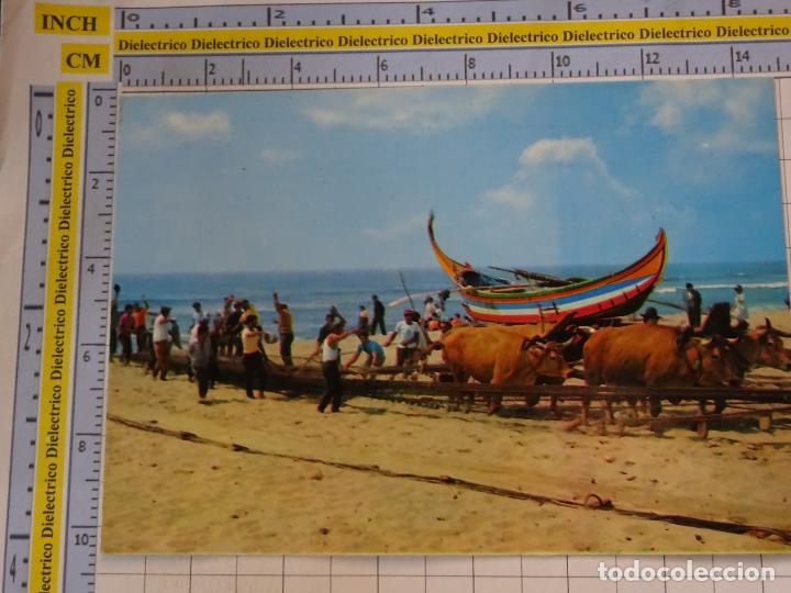 Cartes Postales: POSTAL DE PORTUGAL. TIPISMO PORTUGU&Eacute;S, ESCENA VIVA &Eacute;TNICA. BUEYES SACANDO REDES DE PESCA. 2326