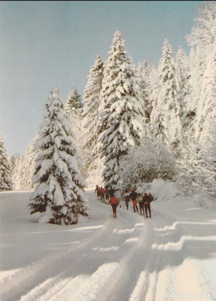 Postales: FRANCIA, JURA, SKI DE FONDO &ndash; EDITIONS S.JEANNEREY 4129 &ndash; S/C