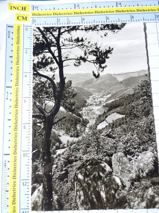 Cartes Postales: ANTIGUA POSTAL DE ALEMANIA. HORNBERG SCHWARZWALD. SELVA NEGRA. 1693