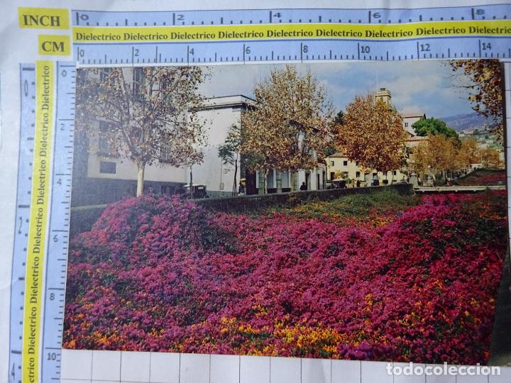 Cartes Postales: POSTAL DE PORTUGAL. MADEIRA, FUNCHAL BUGANVILLA. 2681