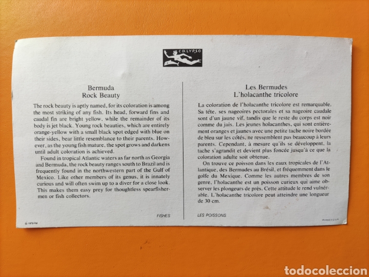 Postales: Postal circulada BERMUDA HAMILTON. 1979. - Foto 2