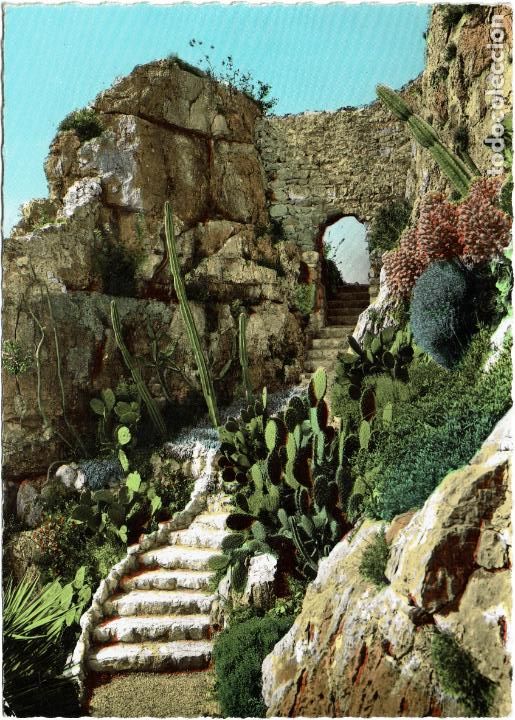 Postales: COSTA AZUL FRANCIA - COTE D'AZUR - VEGETACION MEDITERRANEA - NO CIRCULADA