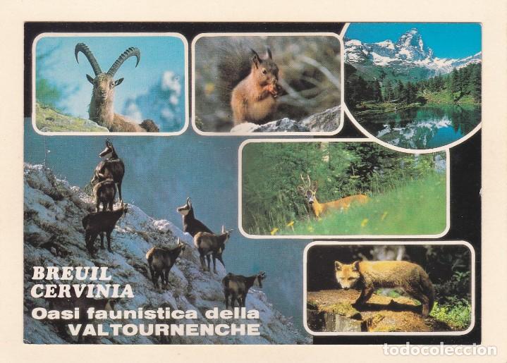 Cartes Postales: POSTAL BREUIL CERVINIA, OASIS FAUNISTICO DE VALTOURNENCHE. VALLE DE AOSTA (ITALIA)