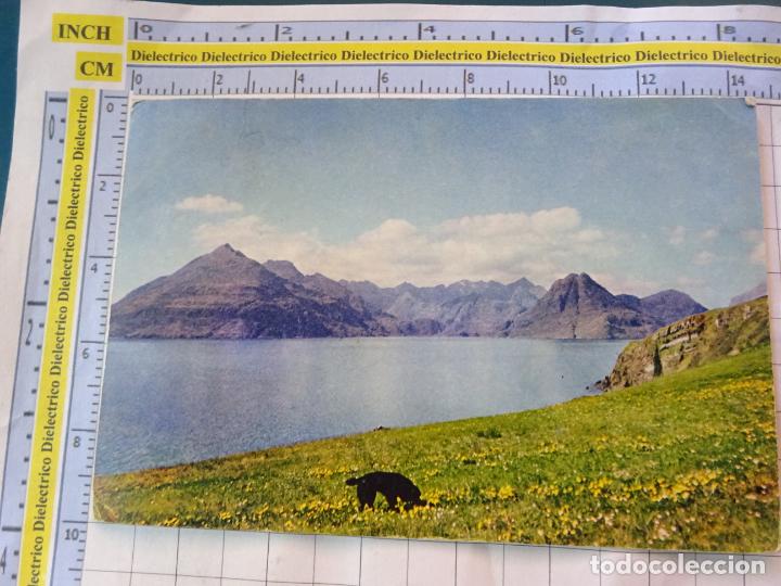 Cartes Postales: POSTAL DE REINO UNIDO GRAN BRETA&Ntilde;A. ESCOCIA. THE CUILLINS FROM ELGOL ISLE OF SKYE 2471