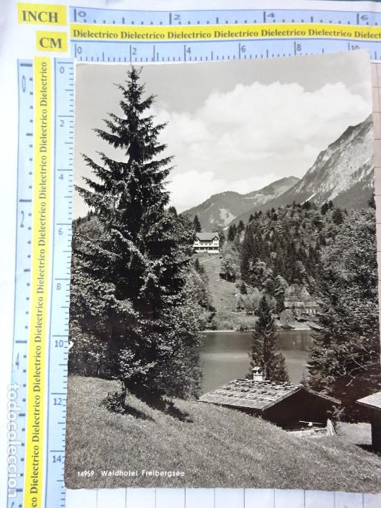 Postales: POSTAL DE AUSTRIA. WALDHOTEL FREIBERGSEE. . 910