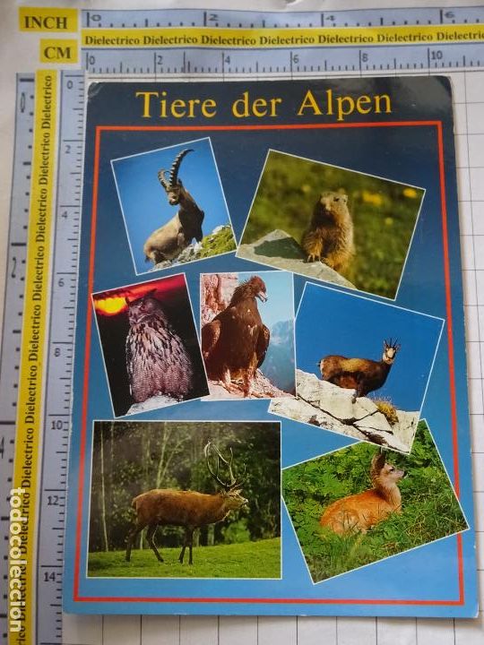 Postales: POSTAL DE AUSTRIA. ANIMALES DE LOS ALPES. 1776