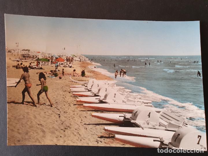 Postales: POSTAL CANET PLAGE (ORIGINAL SIN CIRCULAR) - Foto 1