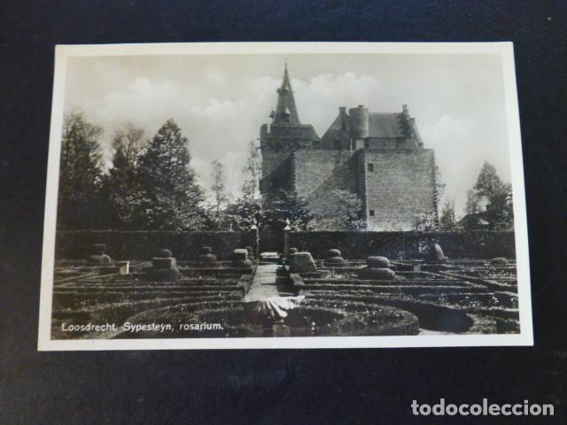 Postales: LOOSDRECHT HOLANDA POSTAL