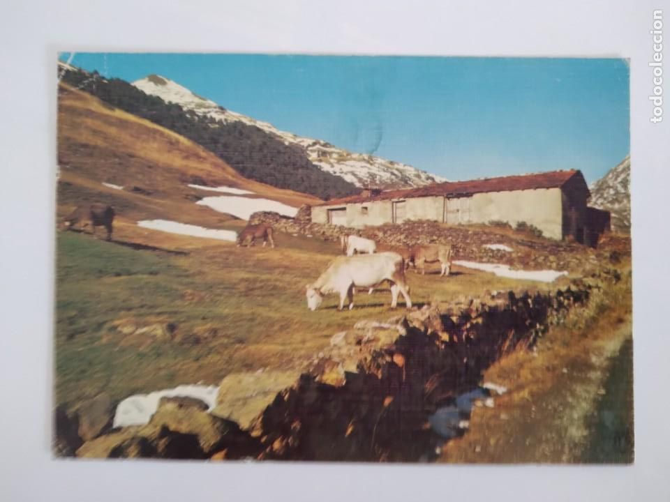 Postkarten: POSTAL VALLS D'ANDORRA D'INCLES RV 83