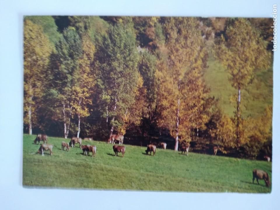 Postkarten: POSTAL VALLS D'ANDORRA PAISAJE RV 111