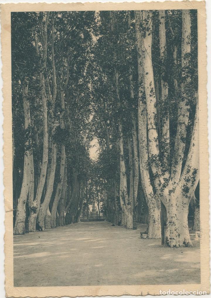 Postales: Postal de PERPIGNAN (Circulada; any 1951) - Foto 1