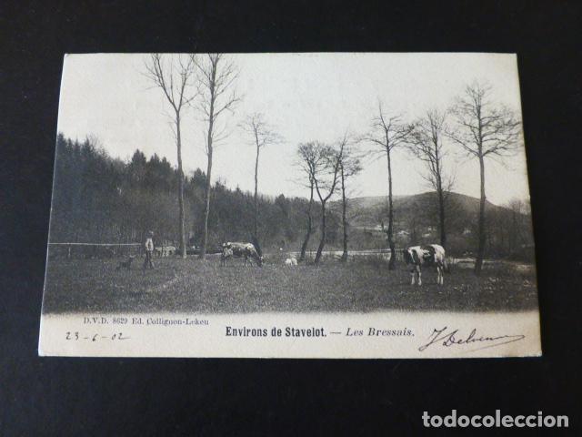 Postales: STAVELOT BELGICA POSTAL - Foto 1