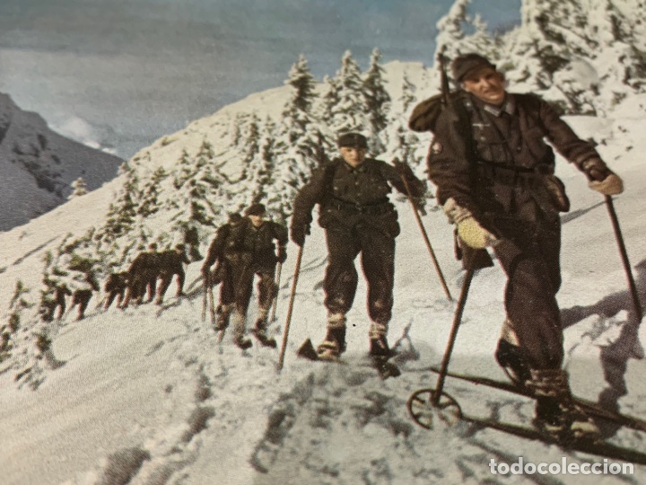 Postales: Tarjeta Postal Ej&eacute;rcito Alem&aacute;n Nazi - a&ntilde;os 40 - Tropa de accedi&oacute; Cazadores Alpinos, sobre seis.