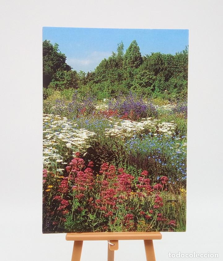 Postales: Postal 8022 Alemania - Foto 1