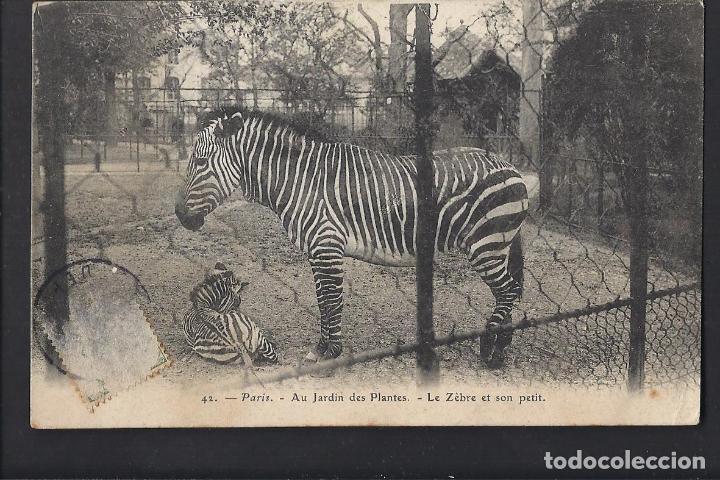 Postales: Postal antigua de Paris . - Foto 1