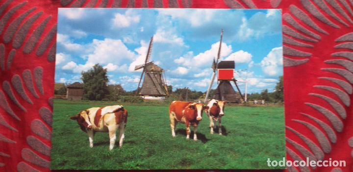 Postais: NEDERLAND-HOLANDA-V53-NO ESCRITA-HOLLAND..
